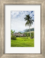 Framed Traditional thatched roofed huts in Navala in the Ba Highlands of Viti Levu, Fiji, South Pacific