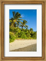 Framed Oarsman Bay, Fiji