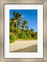 Framed Oarsman Bay, Fiji