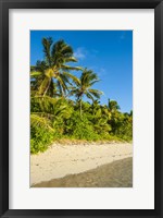 Framed Oarsman Bay, Fiji