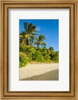 Framed Oarsman Bay, Fiji