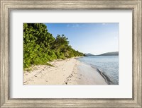 Framed White sandy beach, Fiji