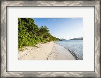 Framed White sandy beach, Fiji