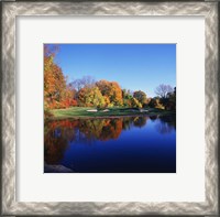 Framed Trees in a golf course, Patterson Club, Fairfield, Connecticut