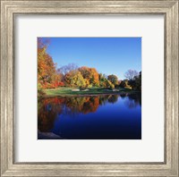 Framed Trees in a golf course, Patterson Club, Fairfield, Connecticut