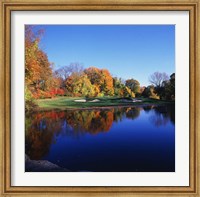 Framed Trees in a golf course, Patterson Club, Fairfield, Connecticut