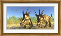 Framed flock of Pterodactylus fly above two Styracosaurus Dinosaurs