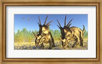 Framed flock of Pterodactylus fly above two Styracosaurus Dinosaurs