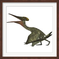 Framed Flying Pterodactylus  Reptile