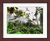 Framed flock of Pterodactylus reptiles fly over the jungle searching for their next meal
