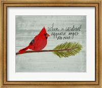 Framed Cardinal