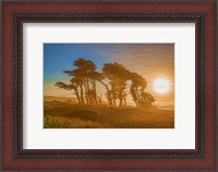 Framed Beach Trees