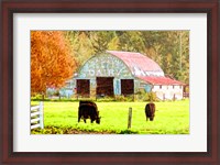 Framed Canetti's Dairy