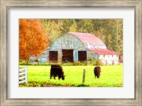 Framed Canetti's Dairy