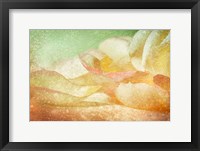 Petals Galore Framed Print