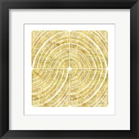 Framed Tree Ring Triptych III