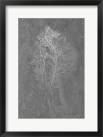 Framed Fern Algae Silver on Black