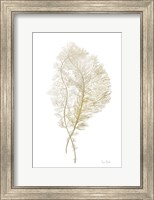 Framed Fern Algae Gold on White