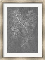 Framed Fern Algae Silver on Black 2