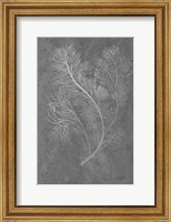 Framed Fern Algae Silver on Black 2