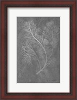 Framed Fern Algae Silver on Black 2