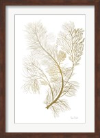 Framed Fern Algae Gold on White 2