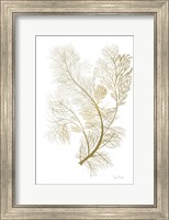 Framed Fern Algae Gold on White 2