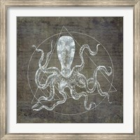 Framed Octopus Geometric Silver