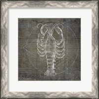 Framed Lobster Geometric Silver