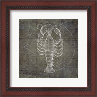 Framed Lobster Geometric Silver