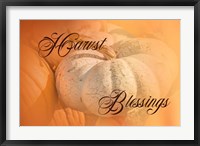 Framed Harvest Blessings II