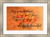 Framed Harvest Wish