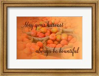 Framed Harvest Wish