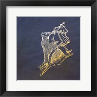 Golden Seashell Framed Print