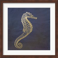 Framed Golden Seahorse