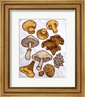 Framed Mushroom Variation