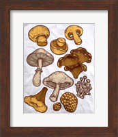 Framed Mushroom Variation