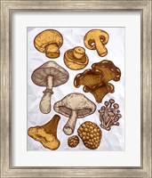 Framed Mushroom Variation