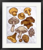 Framed Mushroom Variation