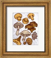 Framed Mushroom Variation