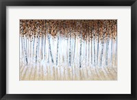 Framed Trees One