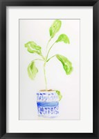 Blue and White Botanical II Framed Print