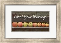 Framed Count Your Blessings Apples