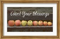 Framed Count Your Blessings Apples