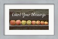 Framed Count Your Blessings Apples