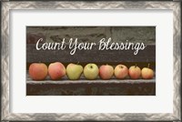 Framed Count Your Blessings Apples