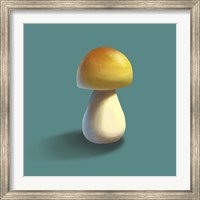 Framed Mushroom on Teal Background Part II