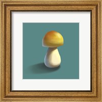 Framed Mushroom on Teal Background Part II