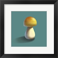 Framed Mushroom on Teal Background Part II