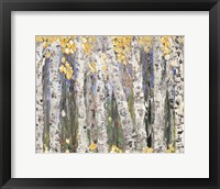 Framed Yellow Leaf Birch Trees